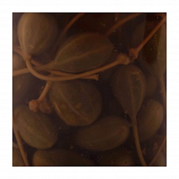 Каперсы плоды с черенками в маринаде пл.ведро Greko, 1 кг./0.5 кг.