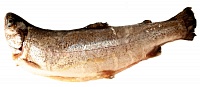 Волк морской тушка (си басс) непотрошеный замороженный Турция, 0.3-0.4 кг.